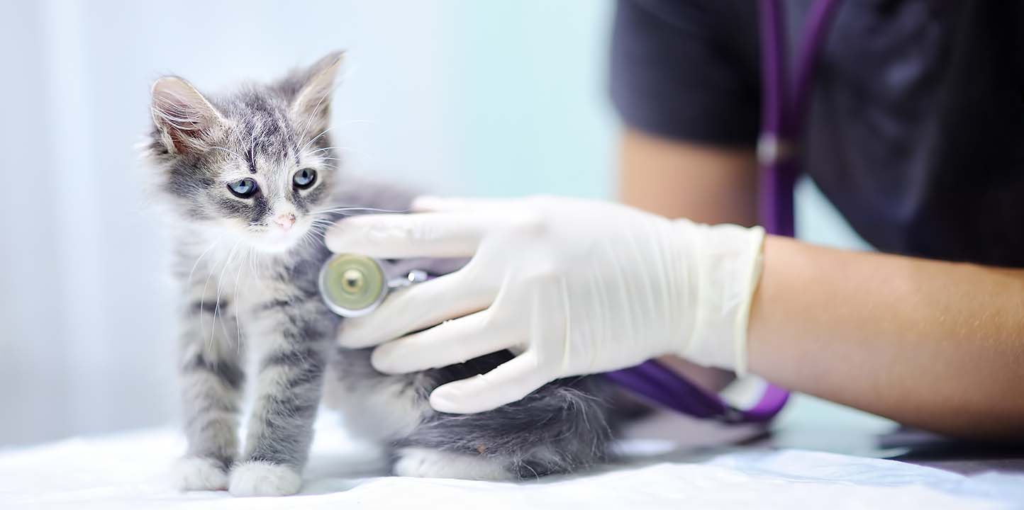 Pharmacie de l'île de France - Planoise, Besançon